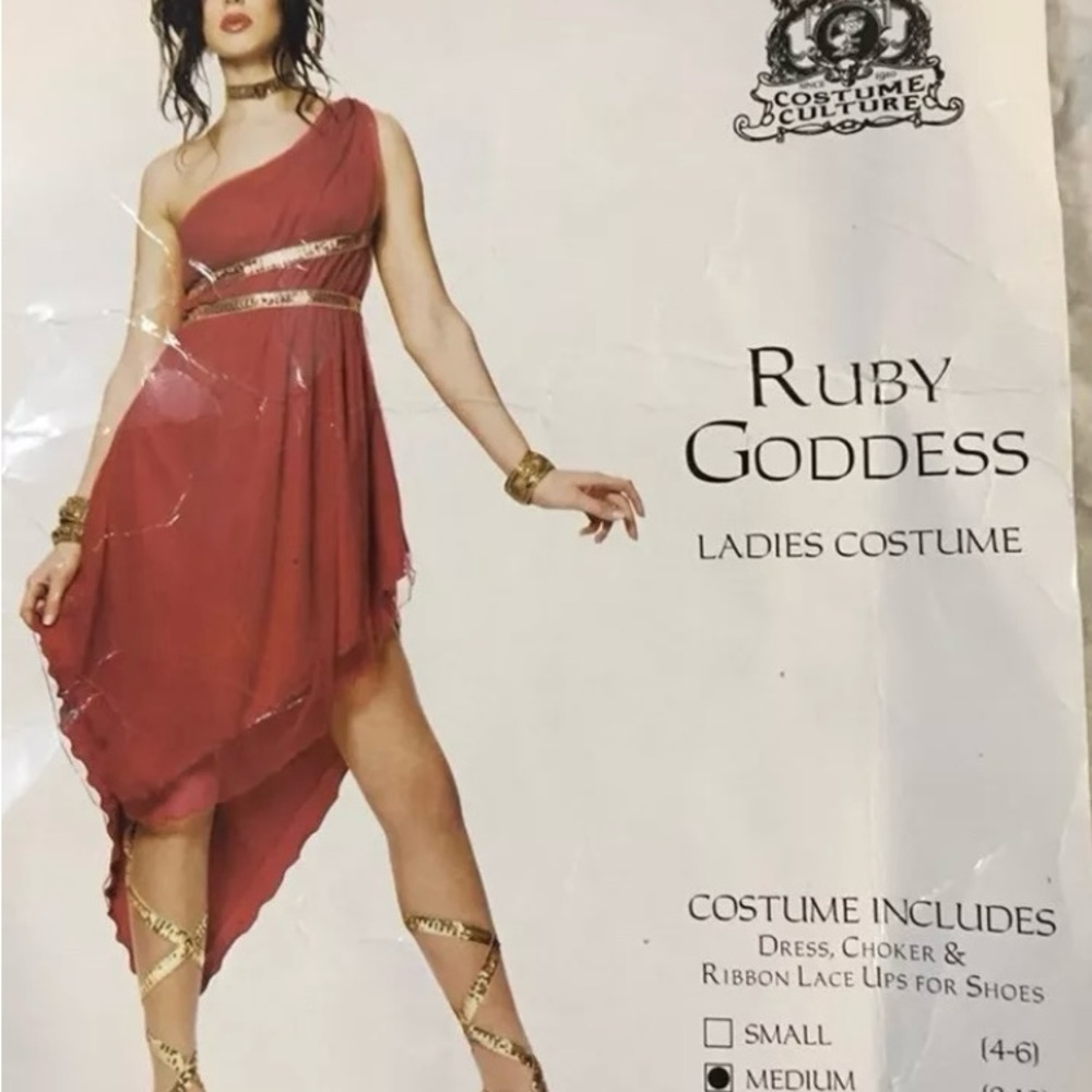 Halloween Franco ladies medium Ruby goddess costume
